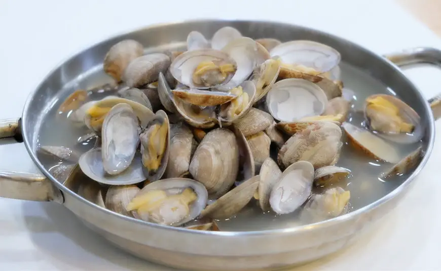 Can Dogs Eat Clams Ebknows