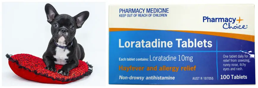 Dog Loratadine Dosage Chart